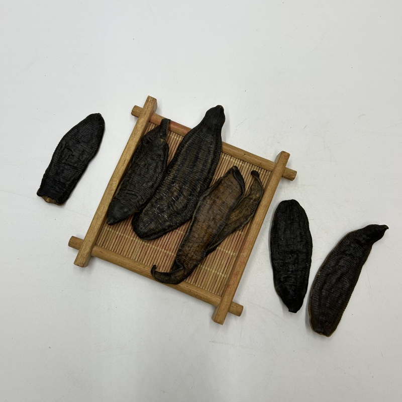 山东水蛭压片水蛭金线蛭新货散装选货中药材批发各种规格齐全
