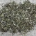 山东荆芥荆芥大叶荆芥新货散装选货中药材批发大量批发各种规