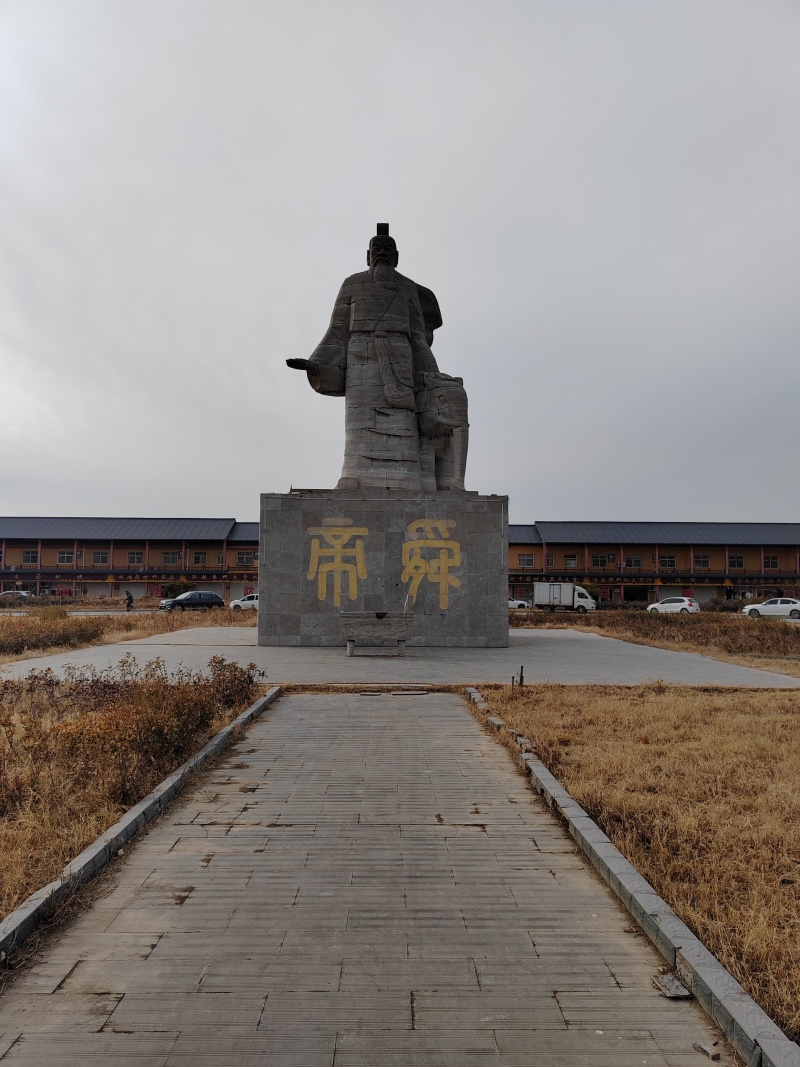 山东板蓝根板蓝根片南板蓝根新货散装统货中药材批发大量批发