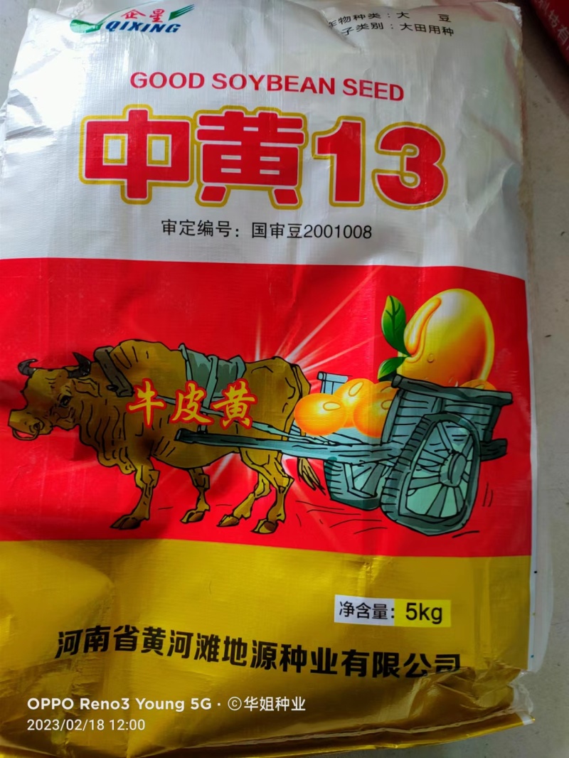 千斤豆黄豆种子粮食黄豆种子农家自种大豆种籽特大高产早熟抗
