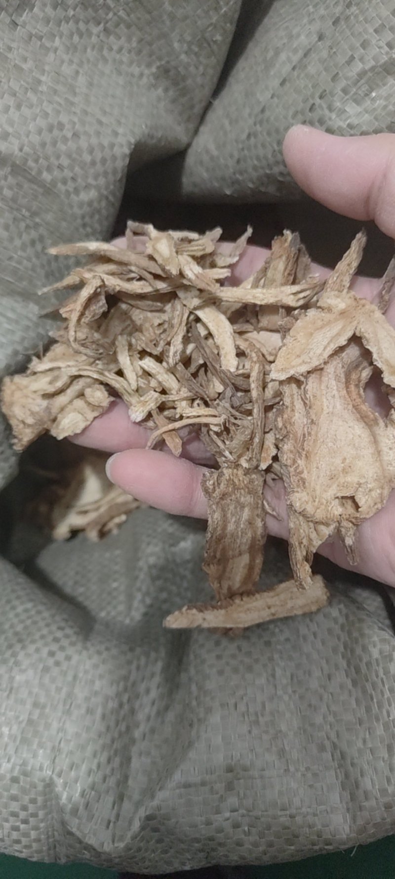 当归甘肃当归头片全归片各种大小规格欢迎选购