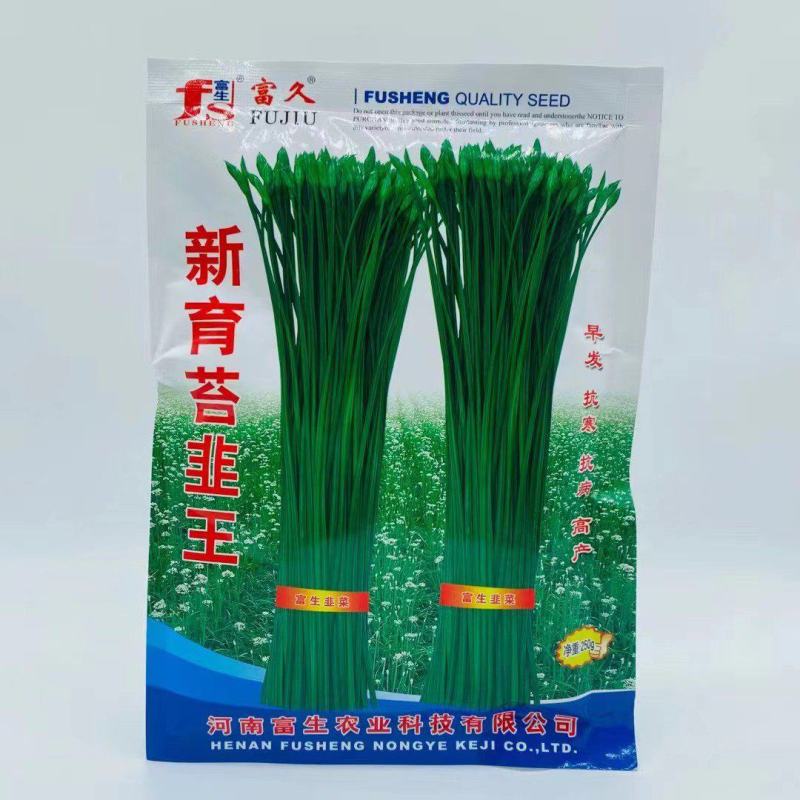 韭苔种子新育苔韭王韭苔种子