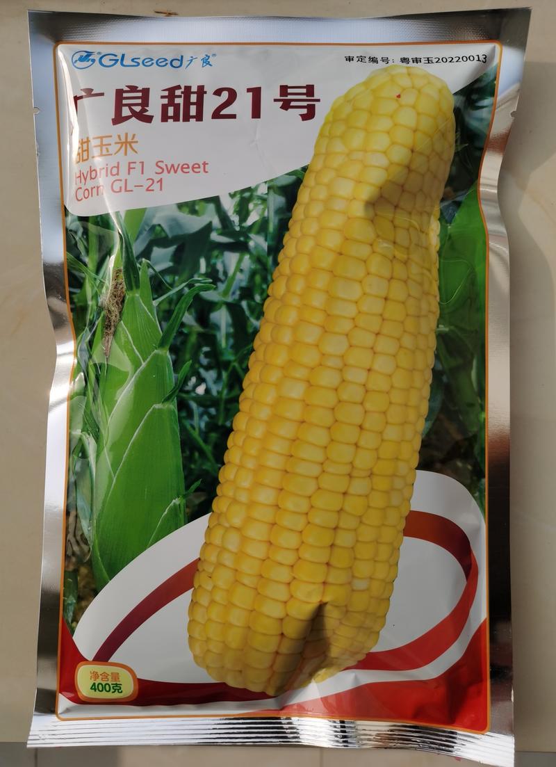 广良甜21号泰系甜玉米种子大穗高产不爆头不缺米不空棵