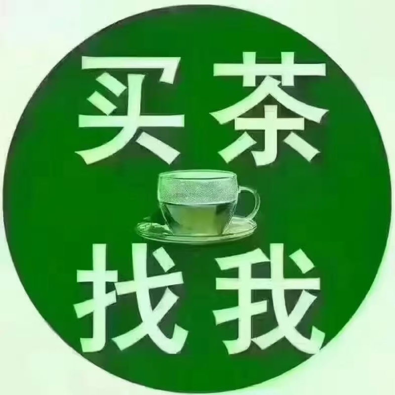 垒鼓寨六安手工瓜片花香味新茶大别山明后采摘味浓耐泡