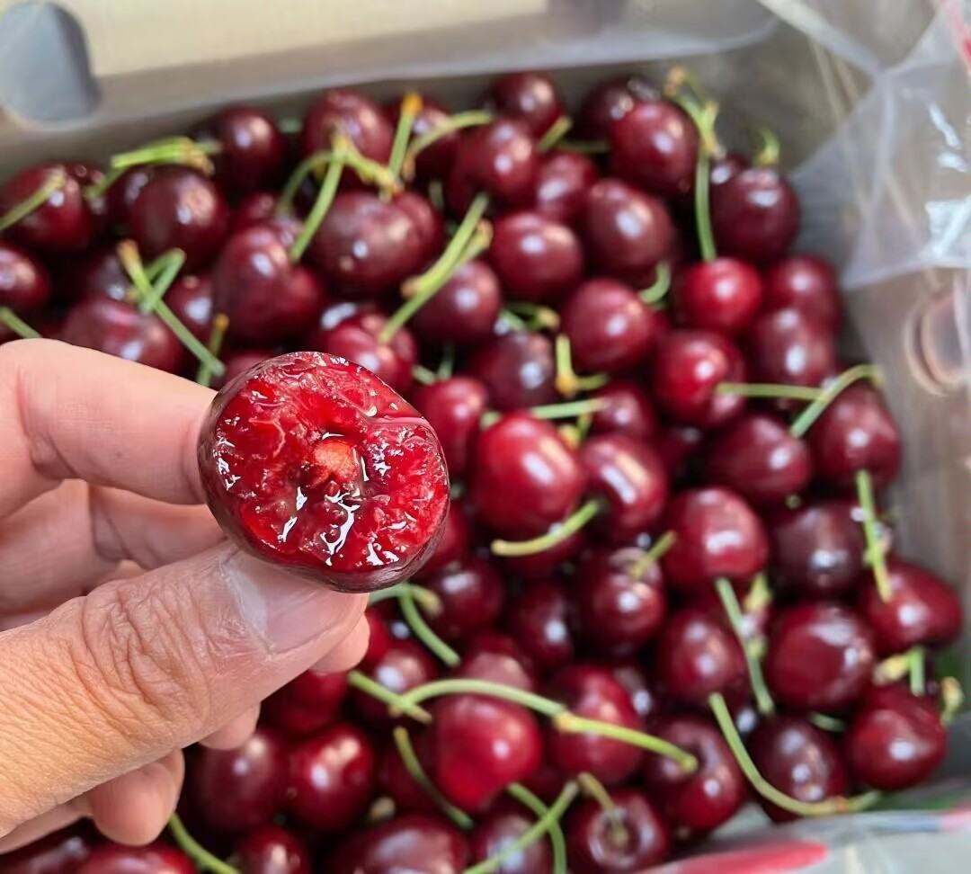 新鲜车厘子与果霜消失的车厘子对比图