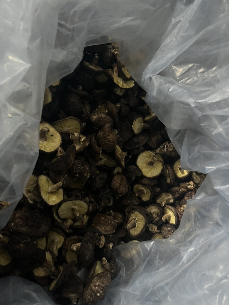 优质黑面菇，基地直供，烘干货，干度好，香味浓，价格合理