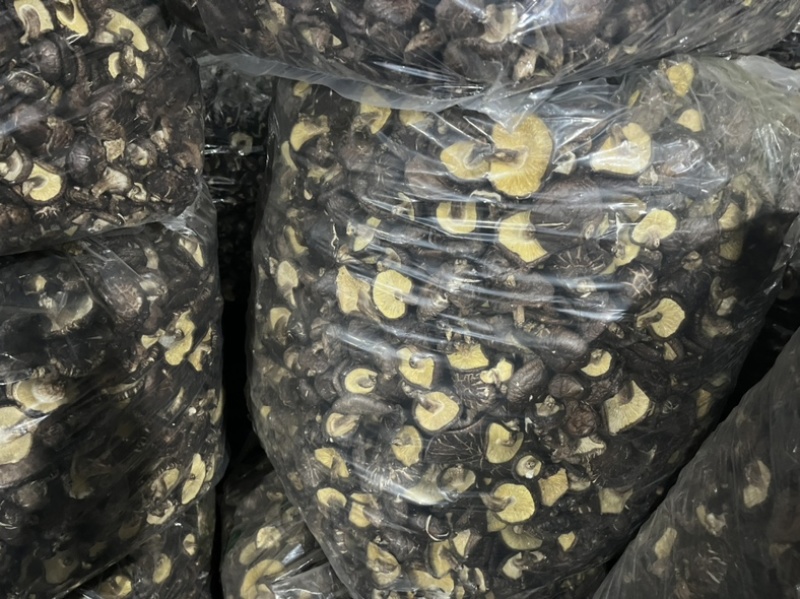 优质黑面菇，基地直供，烘干货，干度好，香味浓，价格合理