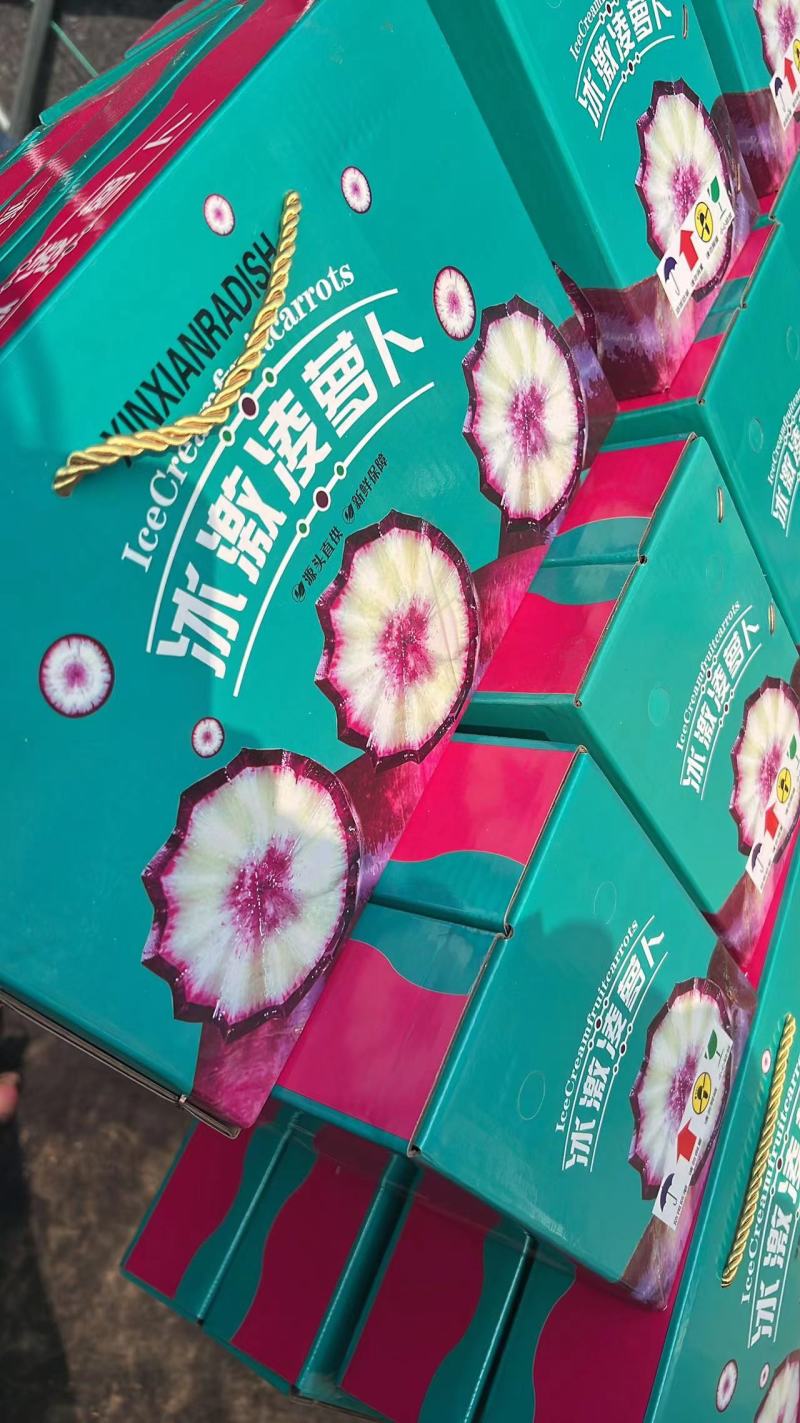 潍坊萝卜，水果萝卜，青萝卜，冰淇淋萝卜，基地直供，规格全