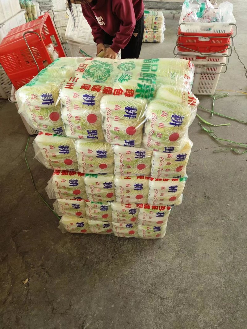 湖北大娃娃，小娃娃大量有货