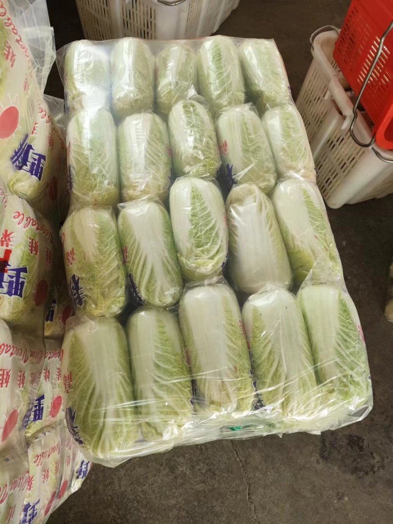 湖北大娃娃，小娃娃大量有货