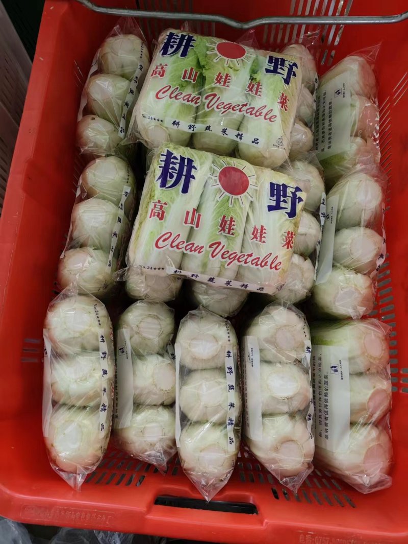 湖北大娃娃，小娃娃大量有货