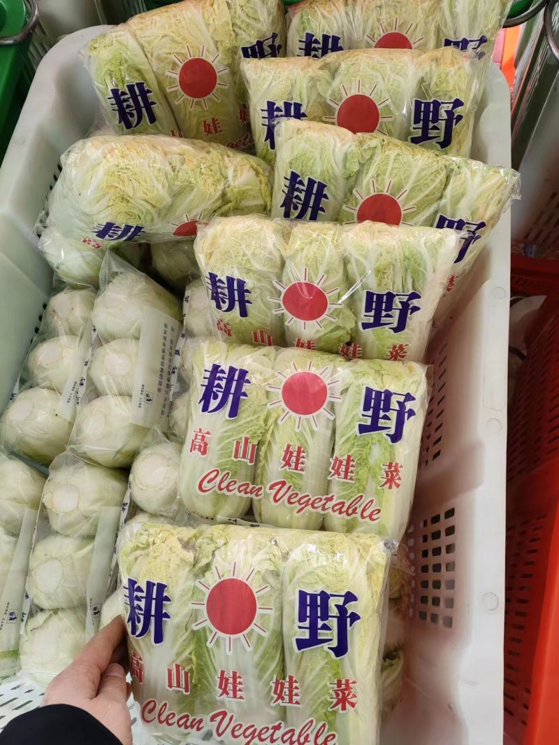 湖北大娃娃，小娃娃大量有货