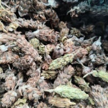 夏枯球，产地货源，价格优惠，质量保证，可视频选货，欢迎来