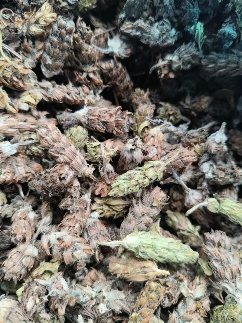 夏枯球，产地货源，价格优惠，质量保证，可视频选货，欢迎来