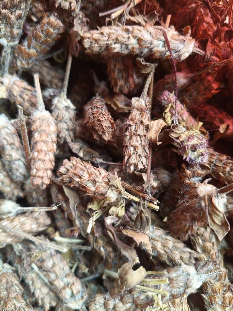 夏枯球，产地货源，价格优惠，质量保证，可视频选货，欢迎来