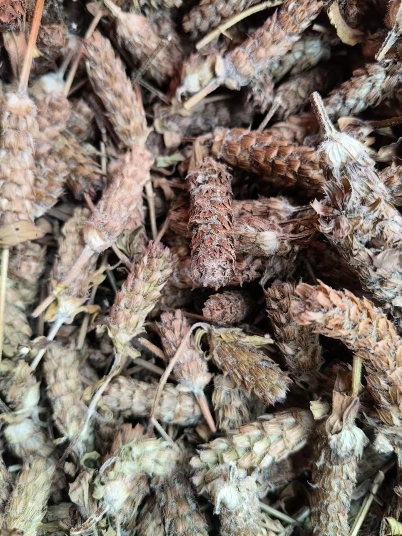 夏枯球，产地货源，价格优惠，质量保证，可视频选货，欢迎来