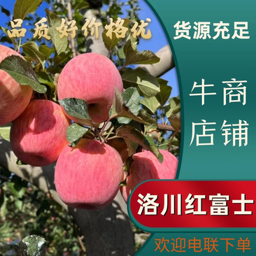 陕西洛川红富士苹果大量供应，支持一件代发落地配，整车代发