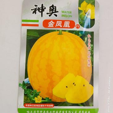 神奥金凤凰黄皮黄瓤西瓜种子品种，单果4公斤左右种子