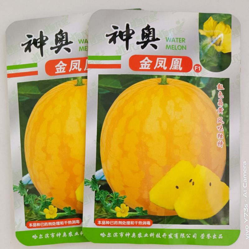 神奥金凤凰黄皮黄瓤西瓜种子品种，单果4公斤左右种子