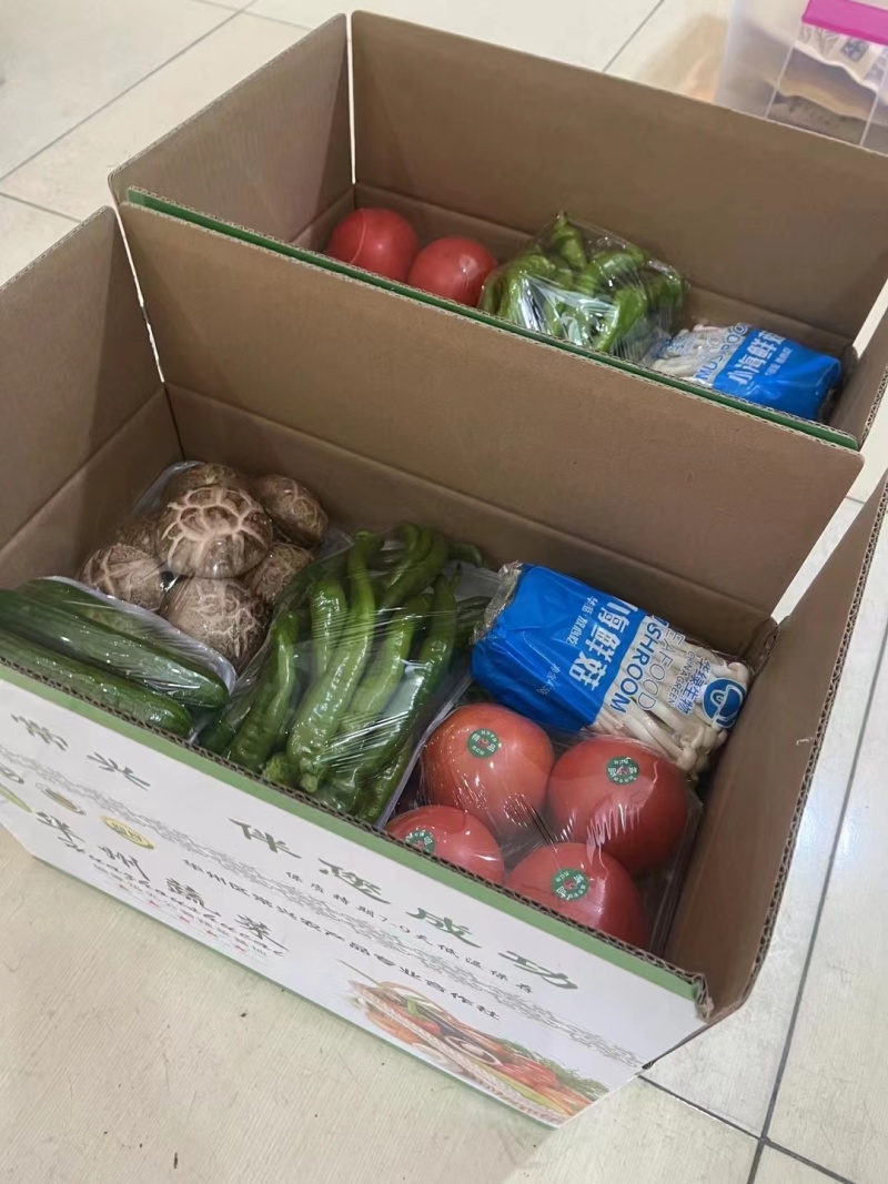 精品春节蔬菜包21种蔬菜现摘现装对接商超团购