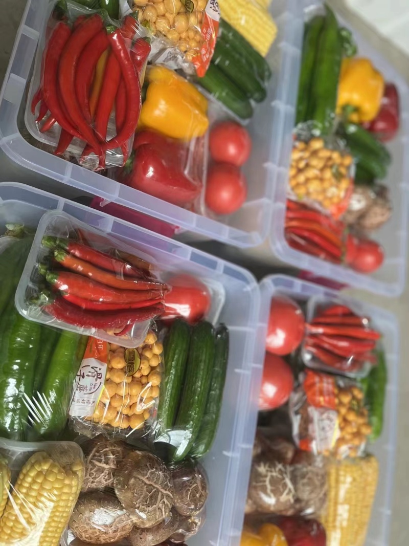 精品春节蔬菜包21种蔬菜现摘现装对接商超团购