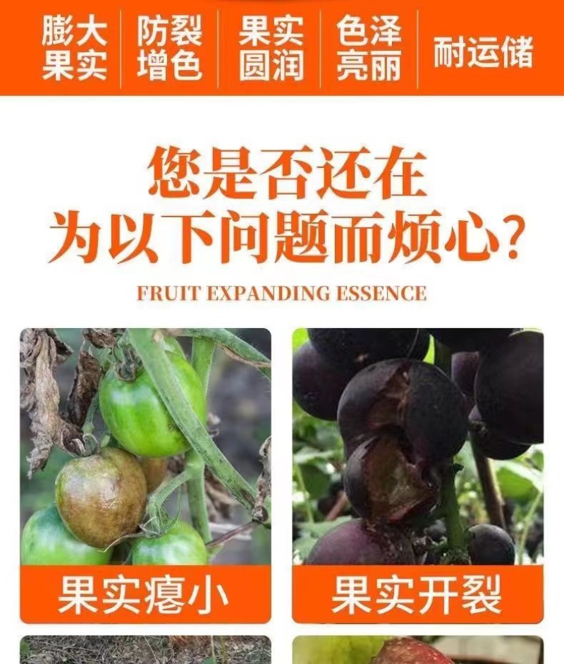 膨果靓果剂增产增白果多粒饱果大果硬粒粒饱满提质增产