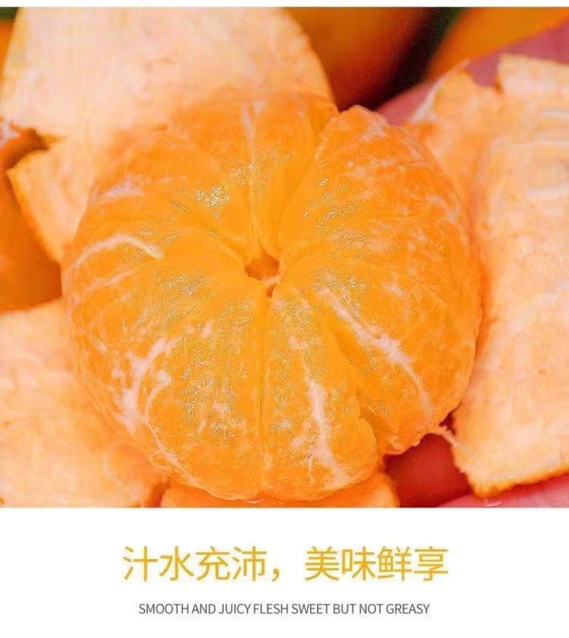 广西砂糖橘批发