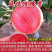极早熟品种风味玫瑰李子苗口感脆甜抗病性强基地直发