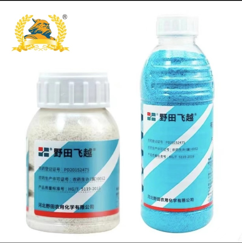 70%啶虫脒水分散蚜虫飞虱跳甲蓟马绿叶蝉果树蔬菜花卉农用
