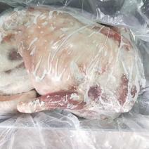 内蒙古草地卧冻羔羊，20斤以下