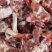 加肉羔羊棒骨
