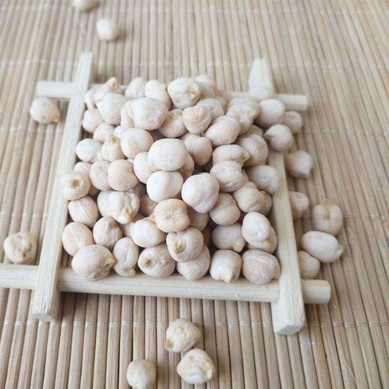 鹰嘴豆种子新疆农家蔬菜种孑可食用阳台庭院盆栽桃豆种籽四季