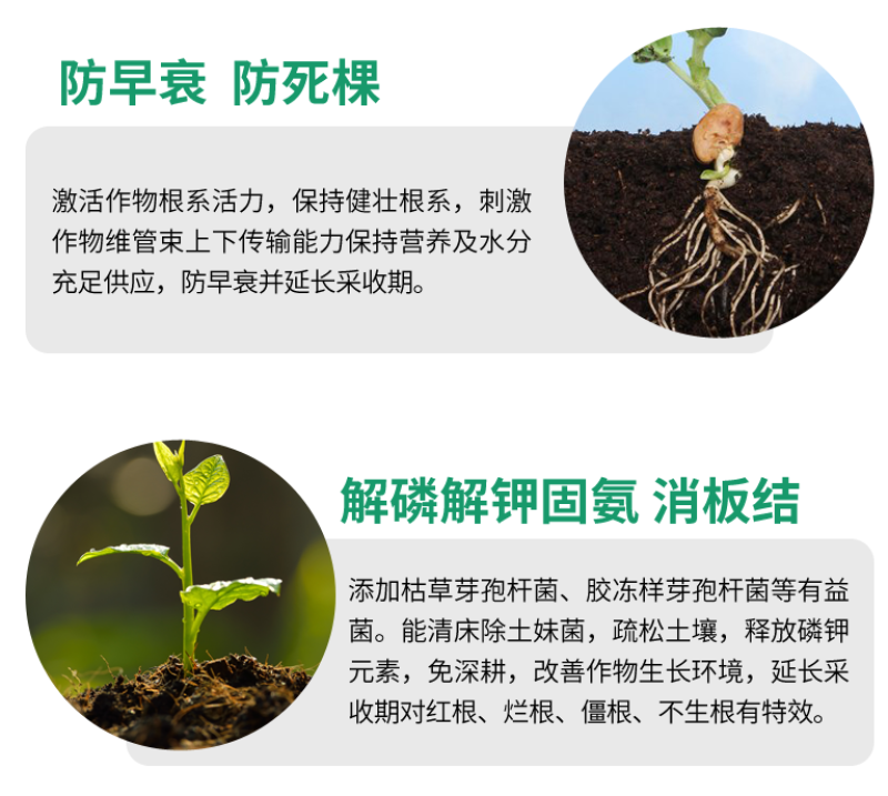 根多生生根壮苗剂复合生根原粉预防根腐枯萎快速生根救根