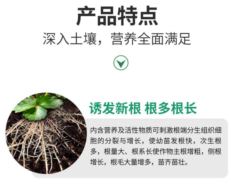 根多生生根壮苗剂复合生根原粉预防根腐枯萎快速生根救根