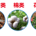 根多生生根壮苗剂复合生根原粉预防根腐枯萎快速生根救根