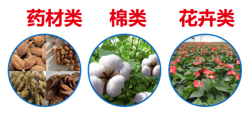 根多生生根壮苗剂复合生根原粉预防根腐枯萎快速生根救根
