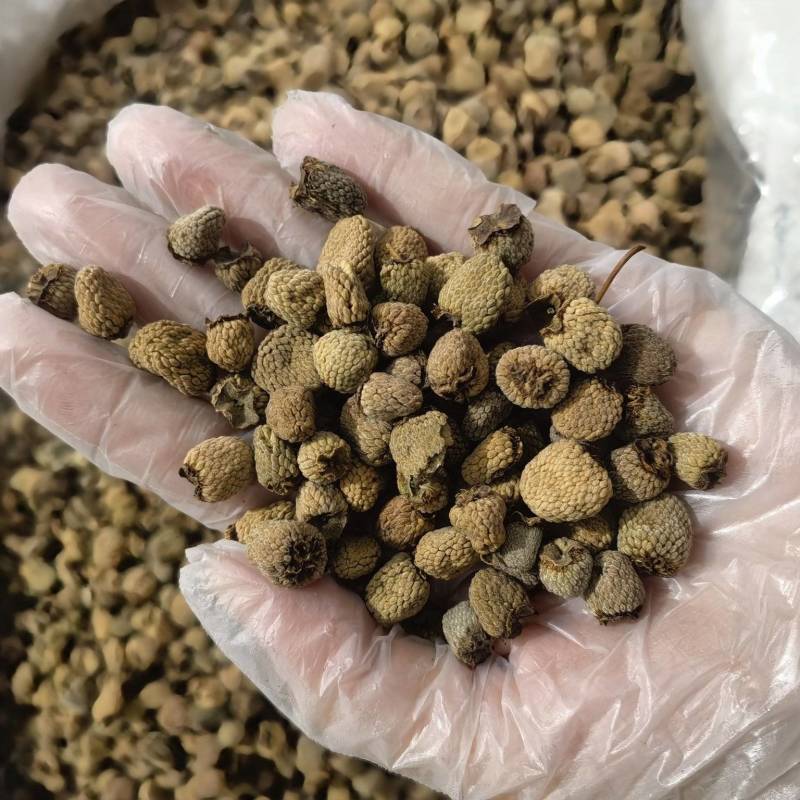覆盆子今年新货物美价廉实图拍摄常年有货源含量达