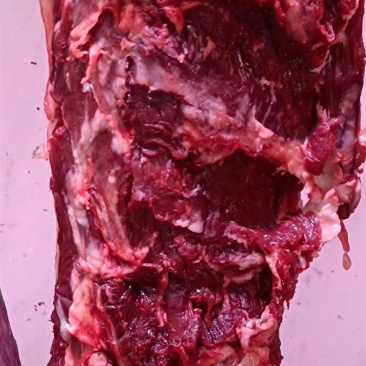 现杀黄牛肉