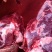 现杀黄牛肉