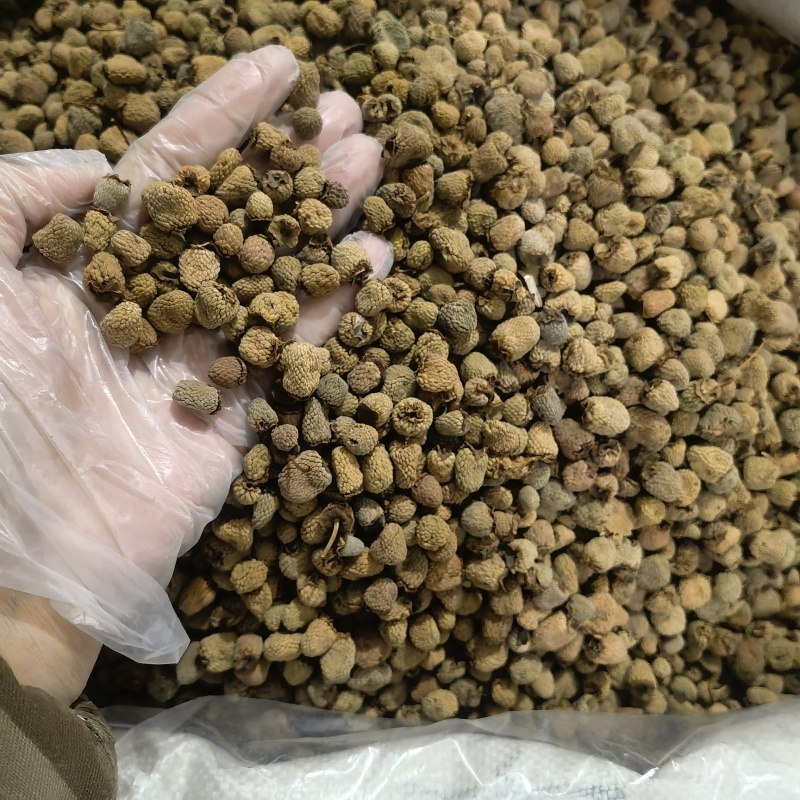 覆盆子今年新货物美价廉实图拍摄常年有货源含量达