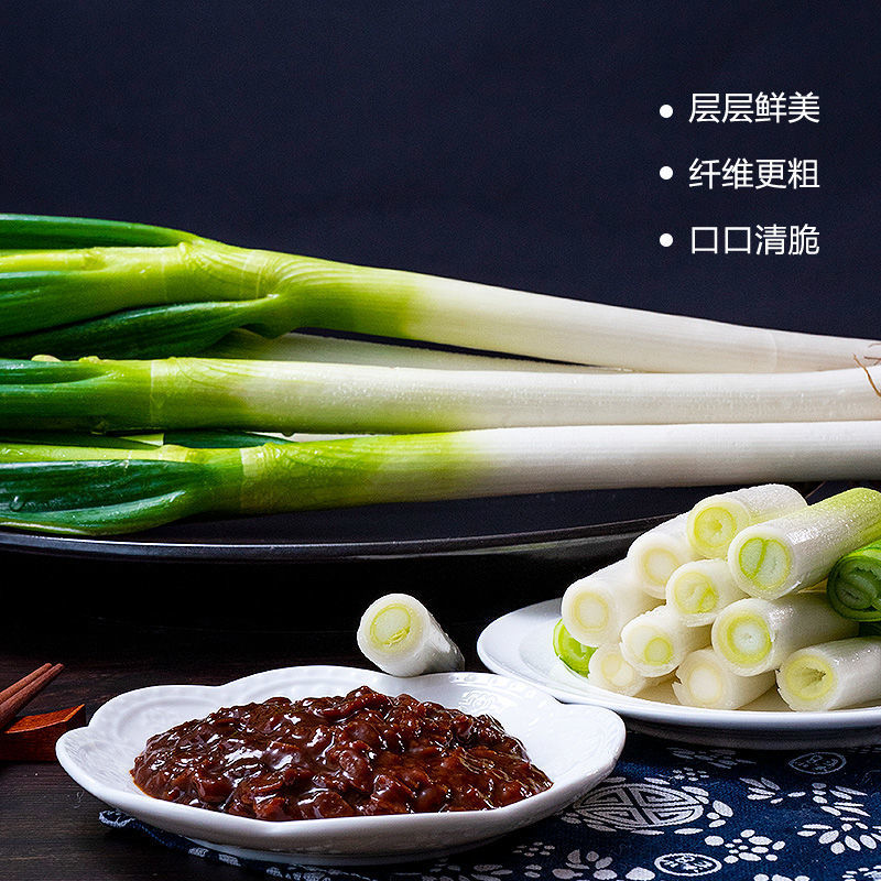 新鲜大葱现在大量有货品质保障货量充足量大从优