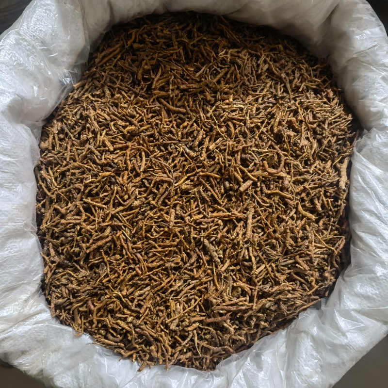 蜜炙远志今年新货颜色好看实图拍摄有现货