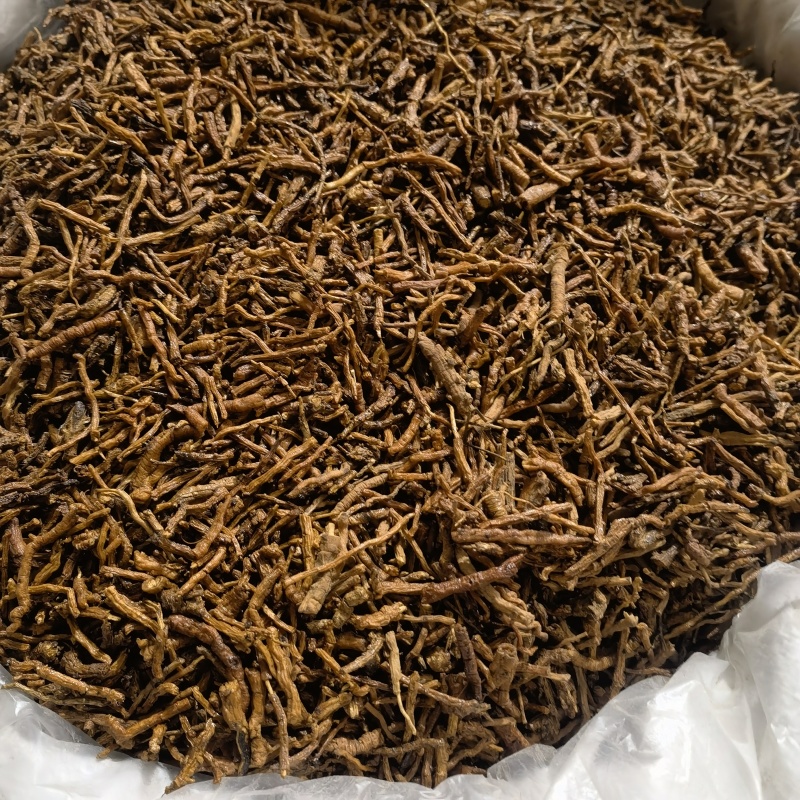 蜜炙远志今年新货颜色好看实图拍摄有现货