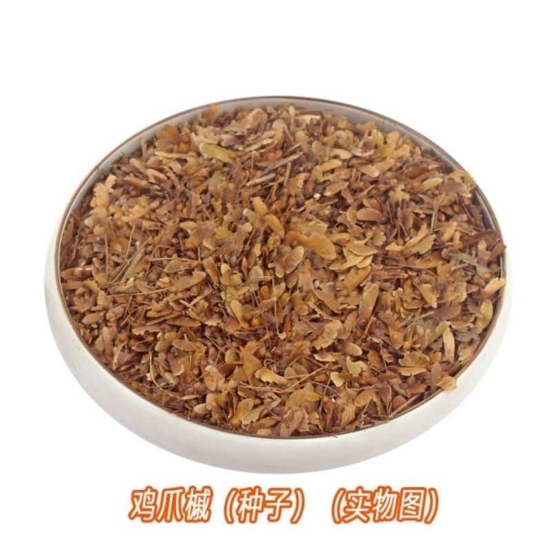 新采新种籽鸡爪槭种子鸡爪枫种子小叶鸡爪槭种子林木