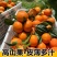 【实力】沃柑产地直发货源充足提供一条龙服务欢迎咨询