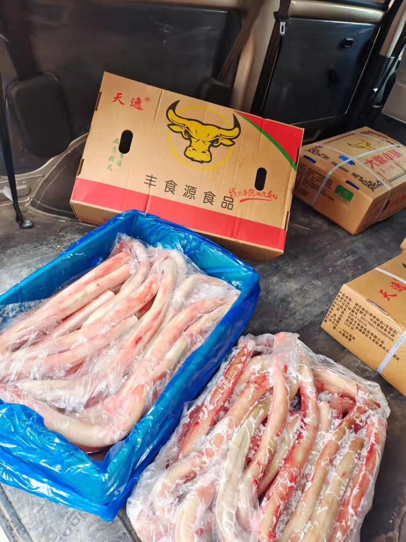 【精品】半成品牛鞭冷冻牛副产品长期有货厂家直销