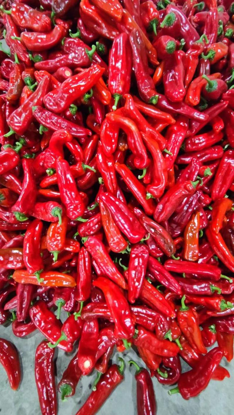 芜湖红椒，大红椒，红泡椒，红辣子，安徽红椒，和县红辣椒，