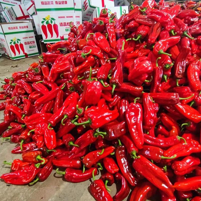 大红椒，红椒，精品安徽红椒，红辣子，产地直发，发往全国