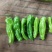 芜湖椒苏椒砀椒，龚垒代收货电商货对接各大平台，万亩大棚基