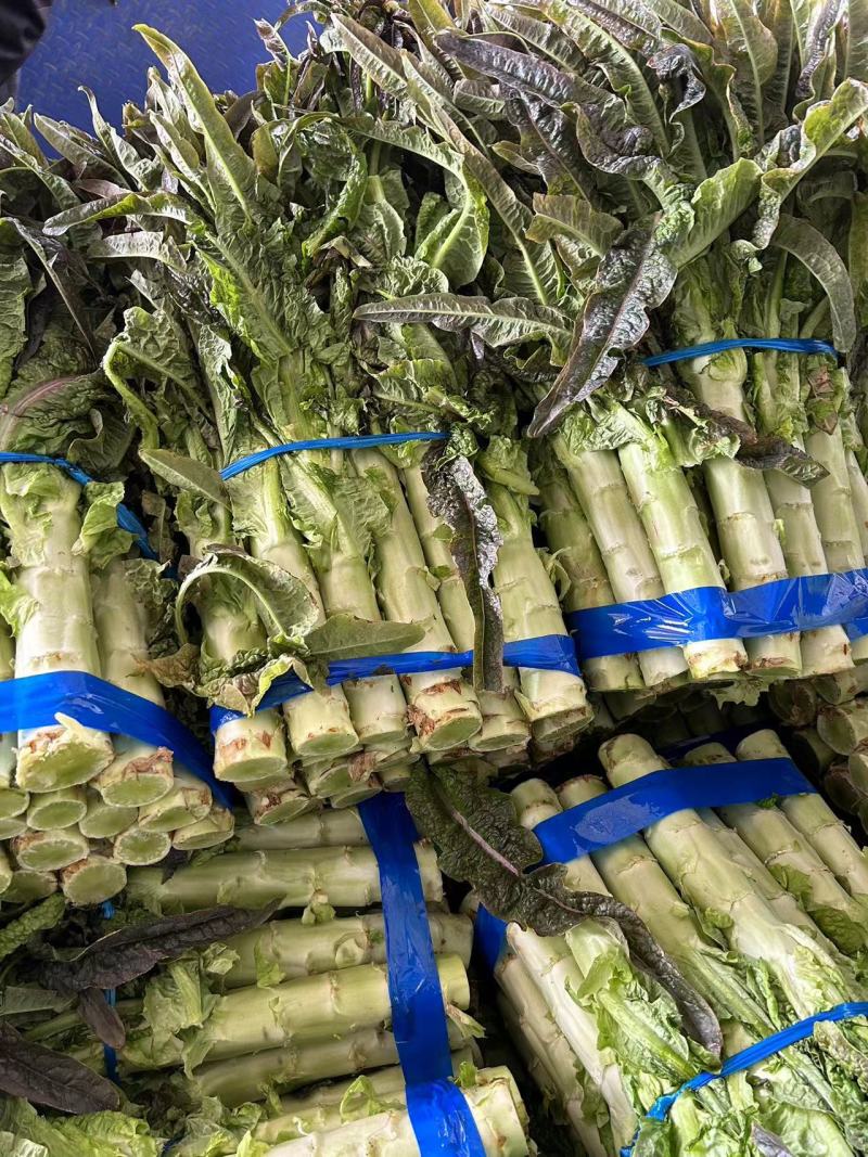 万亩蔬菜基地精品莴笋大量供应市场、电商、超市